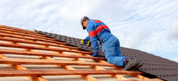 Best Roof Maintenance and Cleaning  in Castle Pines, CO